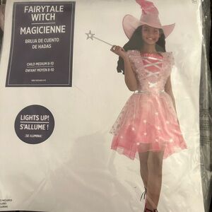 Fairytale Witch Halloween Costume